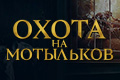 Охота на мотыльков
